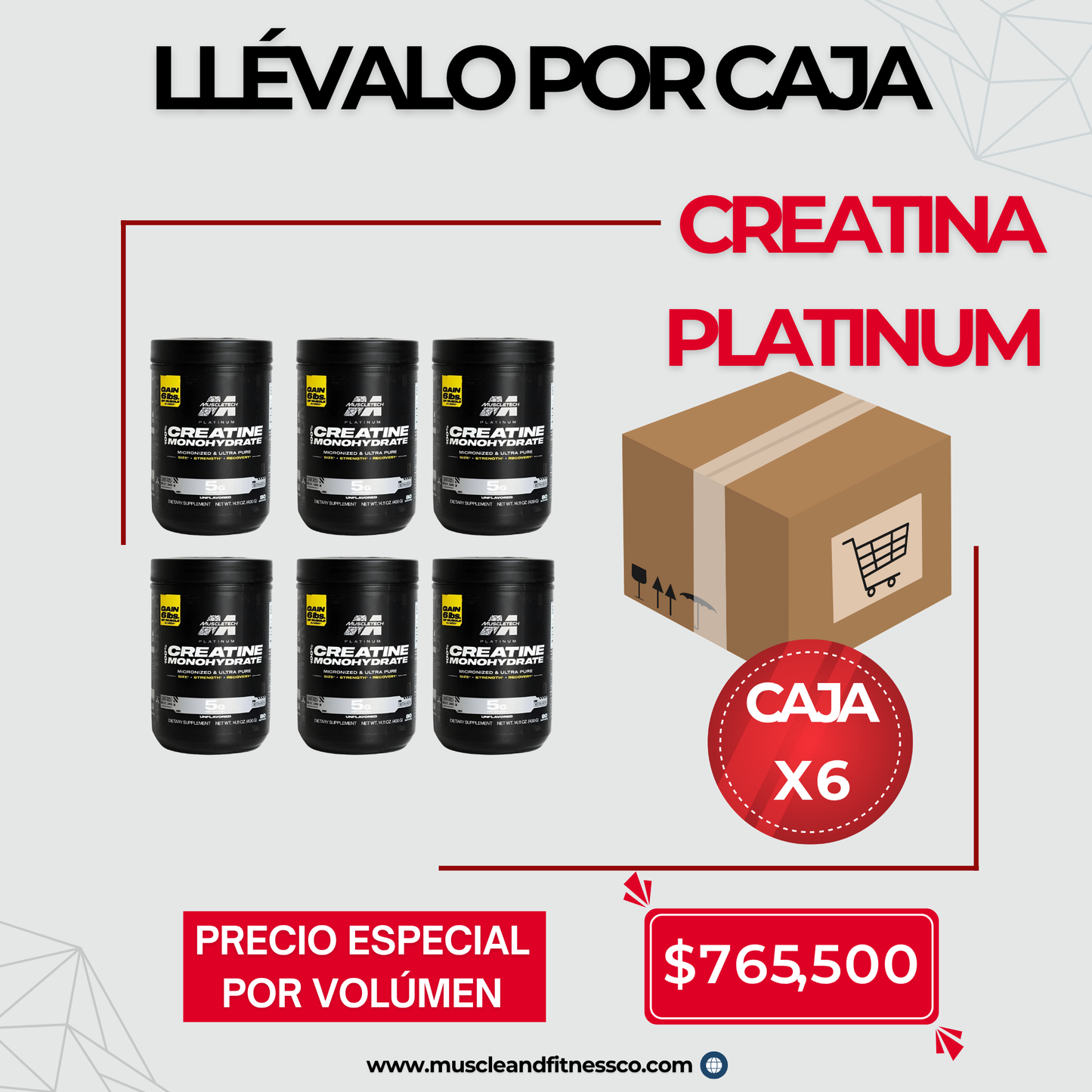 Creatina Platinum – Caja x 6 unidades